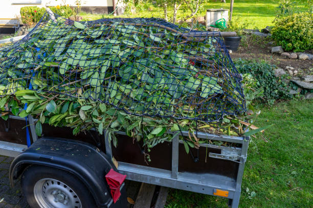 Best Shed Removal  in Groveland, ID